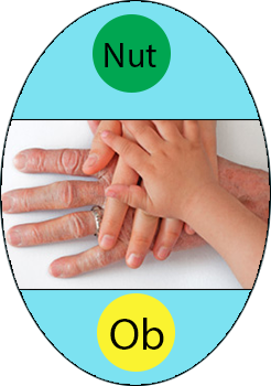 NutOb-logo